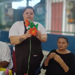 Instituto de Pesquisa e Desenvolvimento Tecnológico